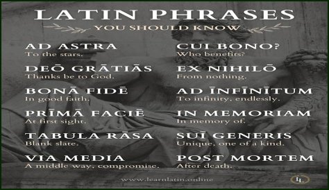 A Profile Of A Latin Beauty